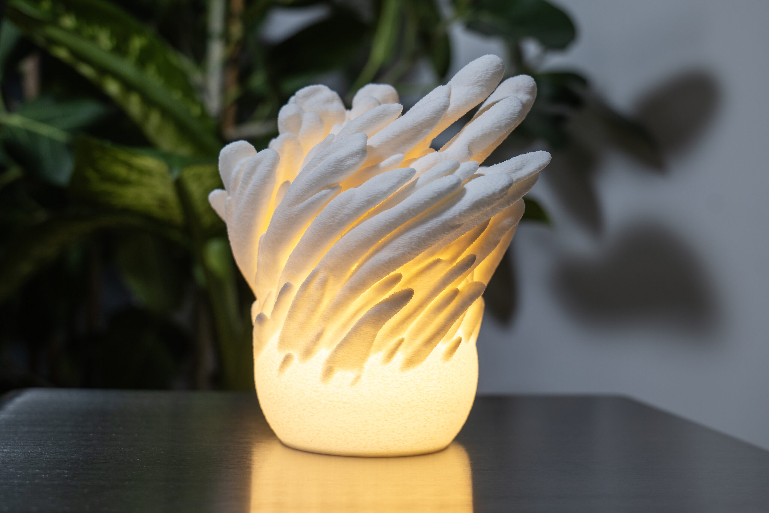 Lampe corail lumineux, vue de face